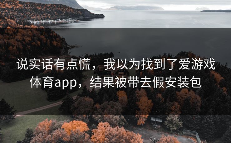 说实话有点慌，我以为找到了爱游戏体育app，结果被带去假安装包