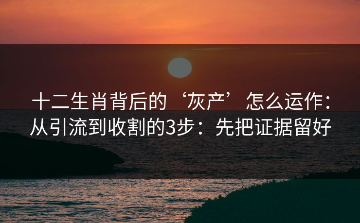 十二生肖背后的‘灰产’怎么运作:从引流到收割的3步:先把证据留好 十二生肖背后的‘灰产’怎么运作:从引流到收割的3步:先把证据留好
